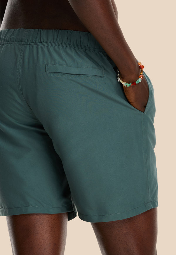 Shiwi MIKE Swim Shorts Solid Smokey Green