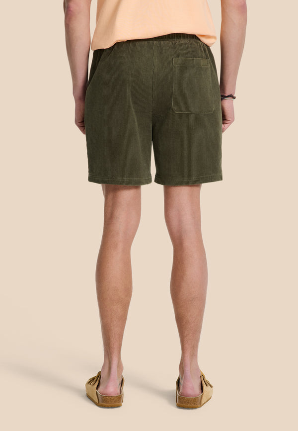 Shiwi RIO Shorts