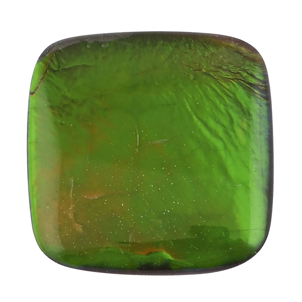 shop lc AAAA Canadian Ammolite (Cush 10x10mm) 2.50 ctw