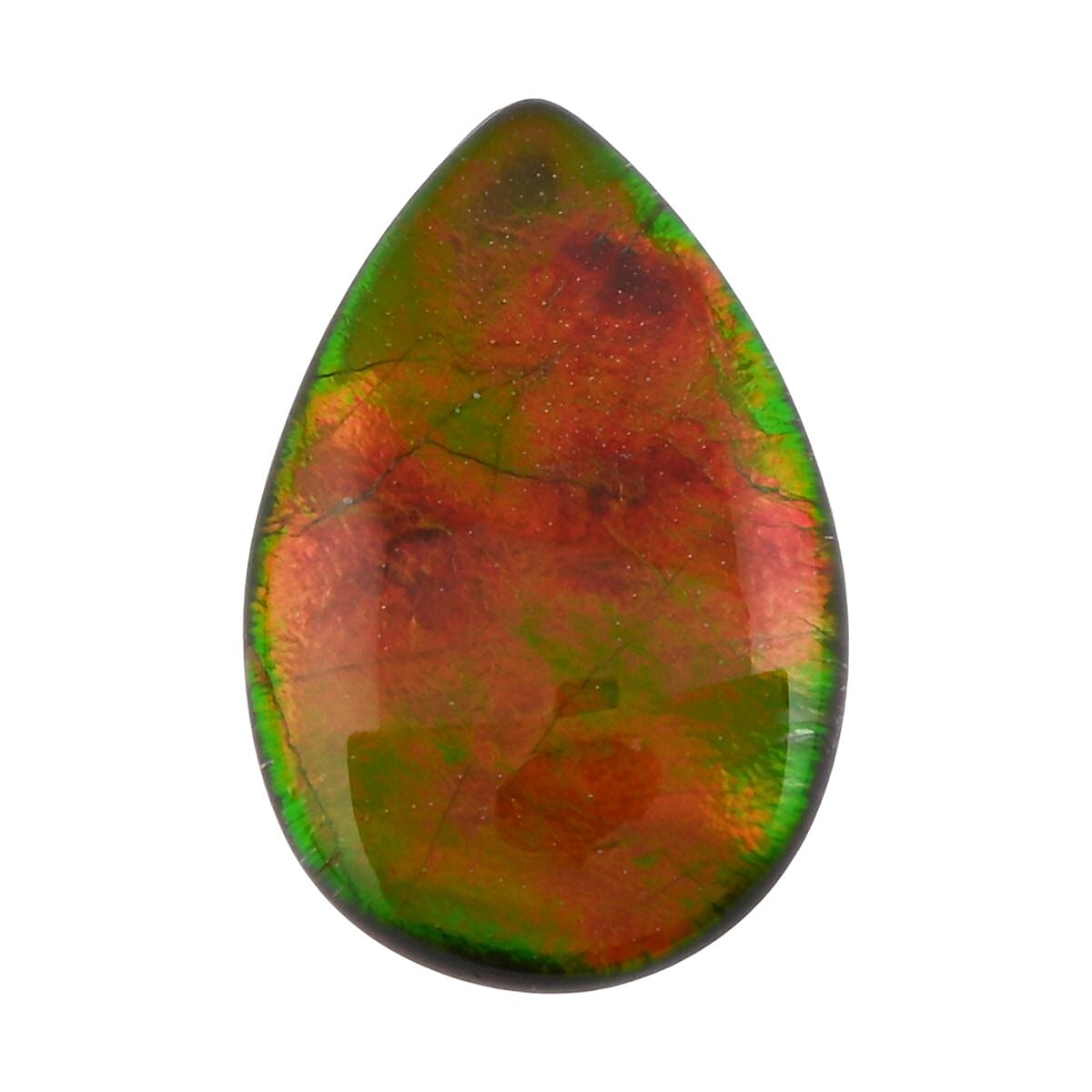 shop lc AAAA Canadian Ammolite (Pear 12x8 mm) 2.00 ctw