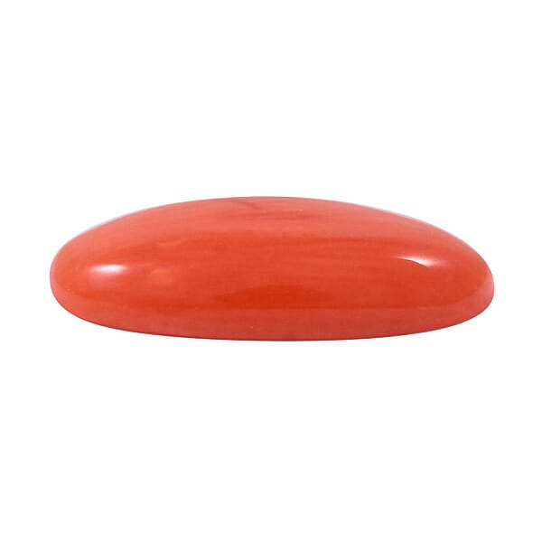 Shop Lc AAAA Natural Mediterranean Coral (Ovl 14x7 Mm) 2.00 Ctw