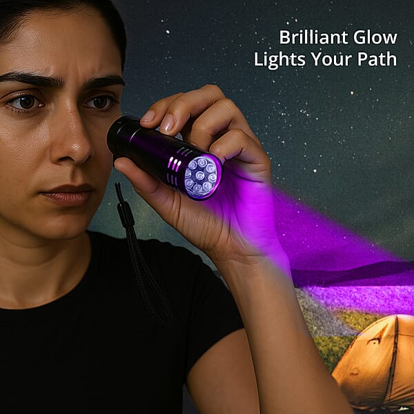 Shop Lc Black 9 LED UV Flash Light (3xAAA Battery Not Included)