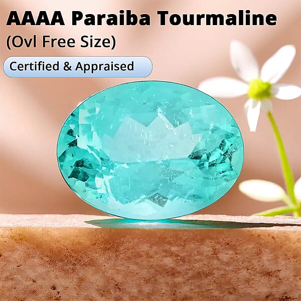 Shop Lc Certified & Appraised AAAA Paraiba Tourmaline (Ovl Free Size) 1.50 Ctw