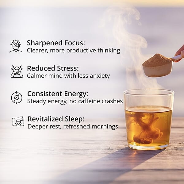 Shop Lc Gula World Mind Master Mushroom Powder For Brain Health Energy & Clarity Dietary Supplement (2.1oz)