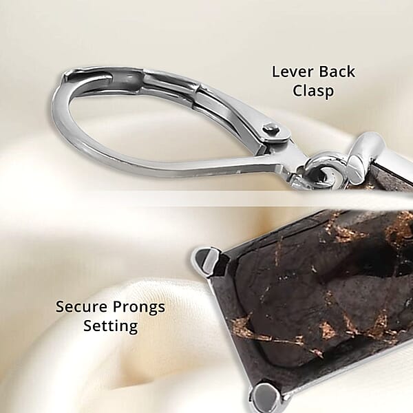 Shop Lc Matrix Silver Shungite 3.75 Ctw Lever Back Earrings In Stainless Steel