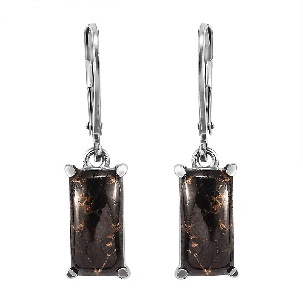 shop lc Matrix Silver Shungite 3.75 ctw Lever Back Earrings in Stainless Steel