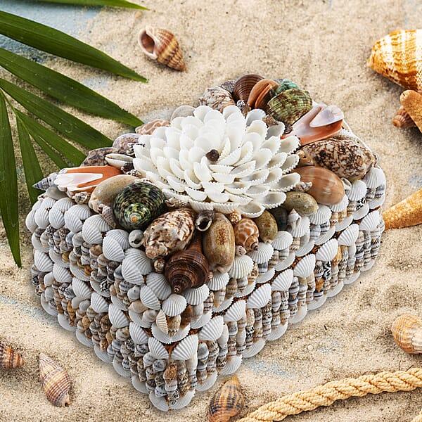 Shop Lc Multi Color Sea Shell Encrusted Treasure Chest Shaped Box