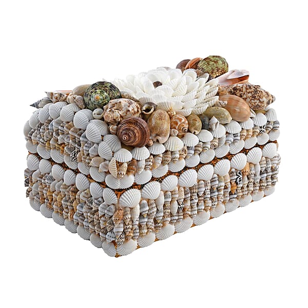 Shop Lc Multi Color Sea Shell Encrusted Treasure Chest Shaped Box