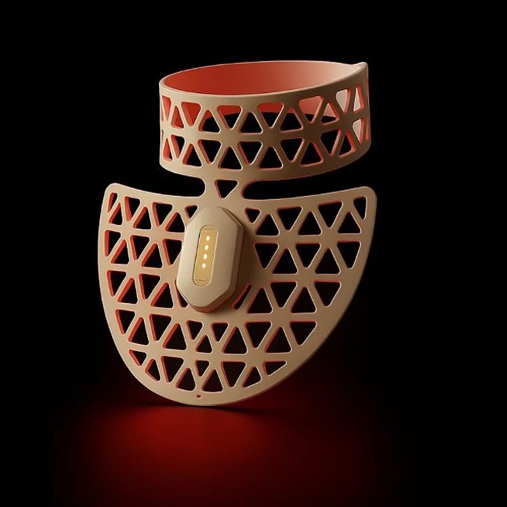 shop lc Numiere Feather Neck & Decollete LED Mask (Manufacturer Warranty)