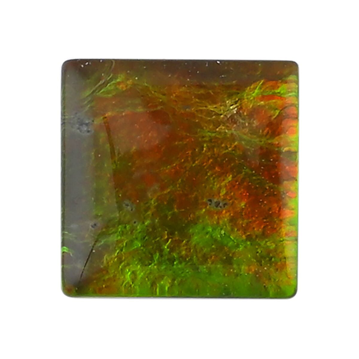 shop lc Plain Cut AAAA Canadian Ammolite (Sqr 7 mm) 1.30 ctw