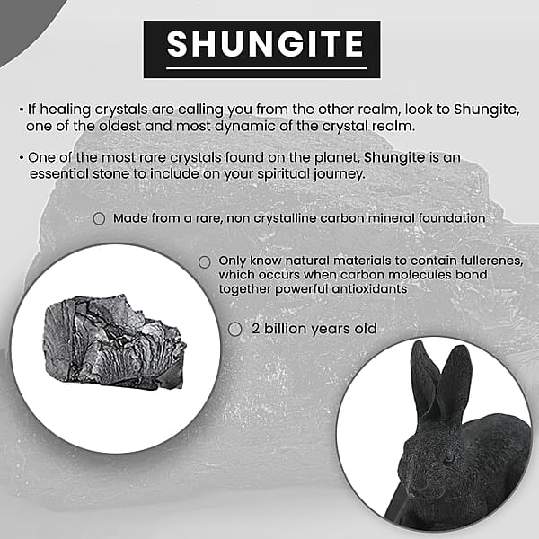 Shop Lc Rabbit Shungite Figurine Home Decor Figurine Decorative Figurine Living Room Decor