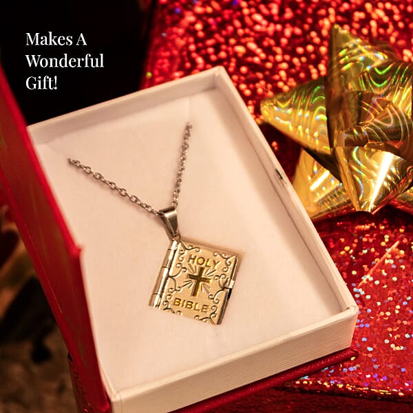 Shop Lc Set Of 2 Bible Pendant Necklace (24 Inches) In ION Plated YG And Steel (Del. In 10-12 Days)