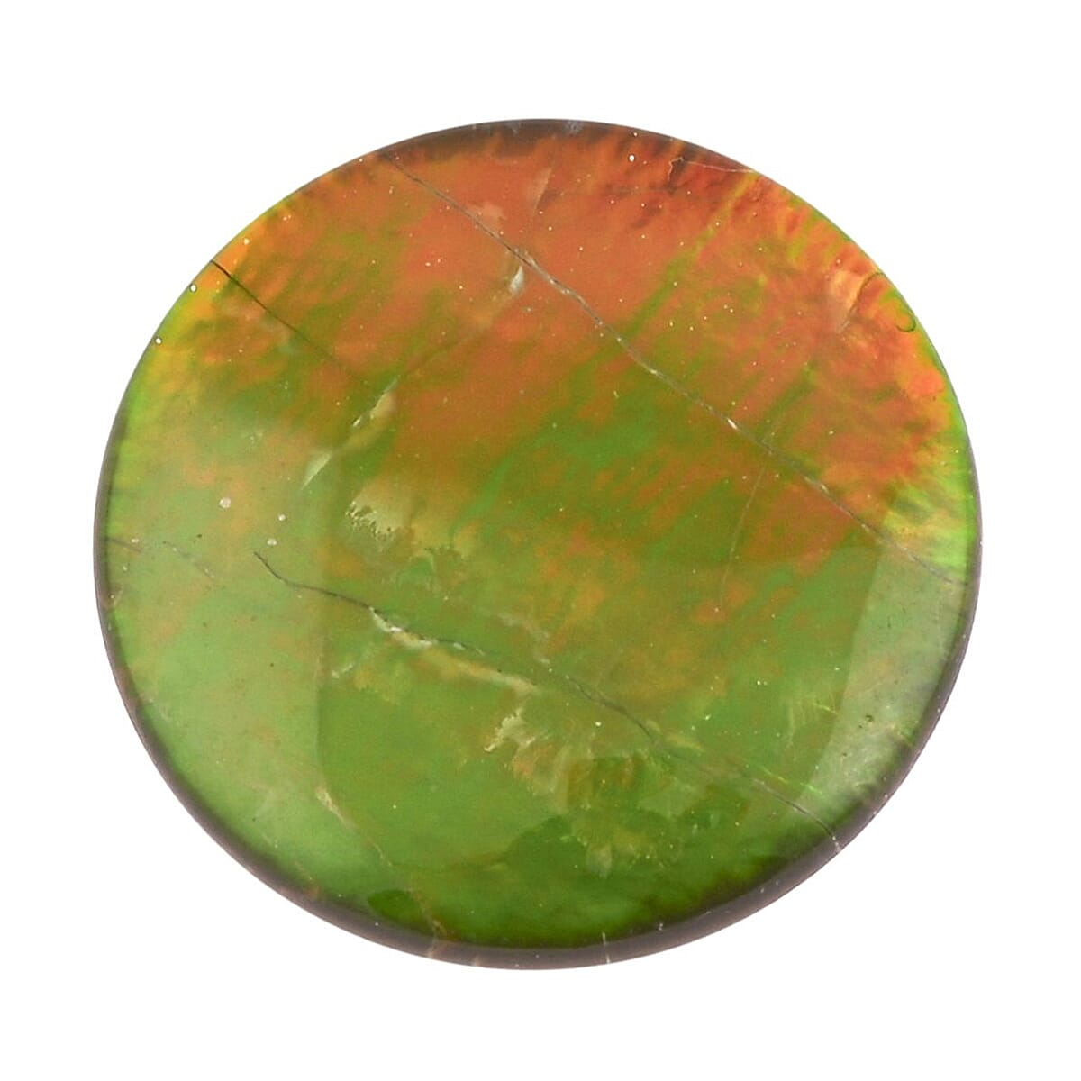 shop lc AAAA Canadian Ammolite (Rnd 10mm) 3.00 ctw