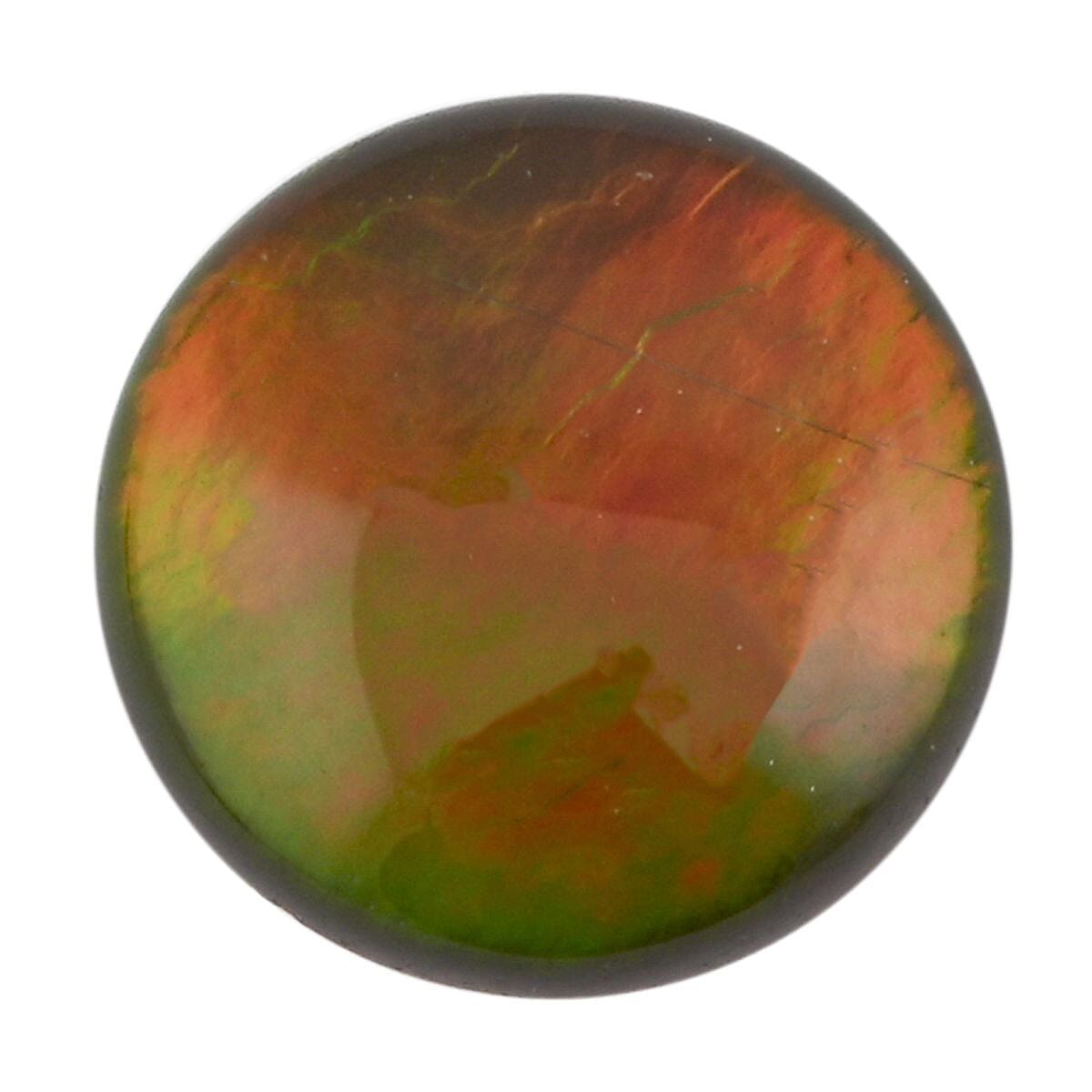 shop lc AAAA Canadian Ammolite (Rnd 7 mm) 1.00 ctw