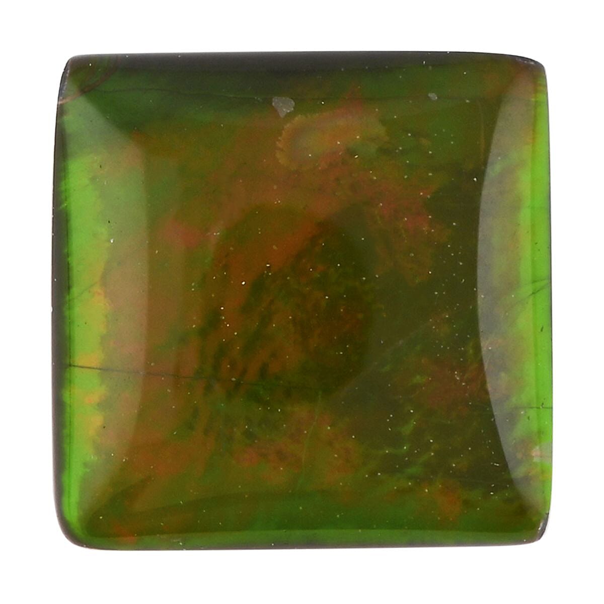 shop lc AAAA Canadian Ammolite (Sqr 8x8 mm) 1.50 ctw