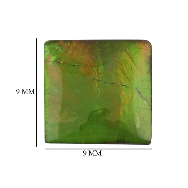 Shop Lc AAAA Canadian Ammolite (Sqr 9x9 Mm) 2.20 Ctw