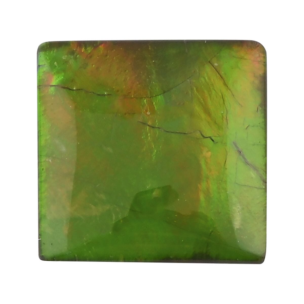 shop lc AAAA Canadian Ammolite (Sqr 9x9 mm) 2.20 ctw