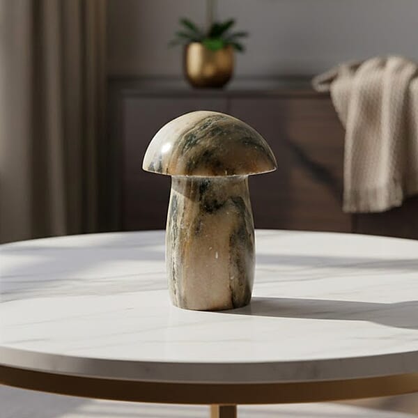 Shop Lc Calcite Brown Mushroom -Small 3640ctw