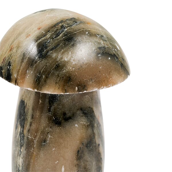 Shop Lc Calcite Brown Mushroom -Small 3640ctw