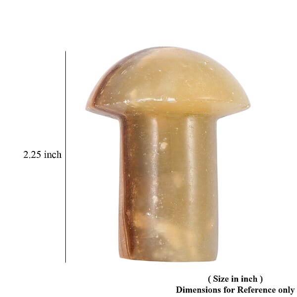 Shop Lc Cipolin Brown Mushroom -Small 465ctw