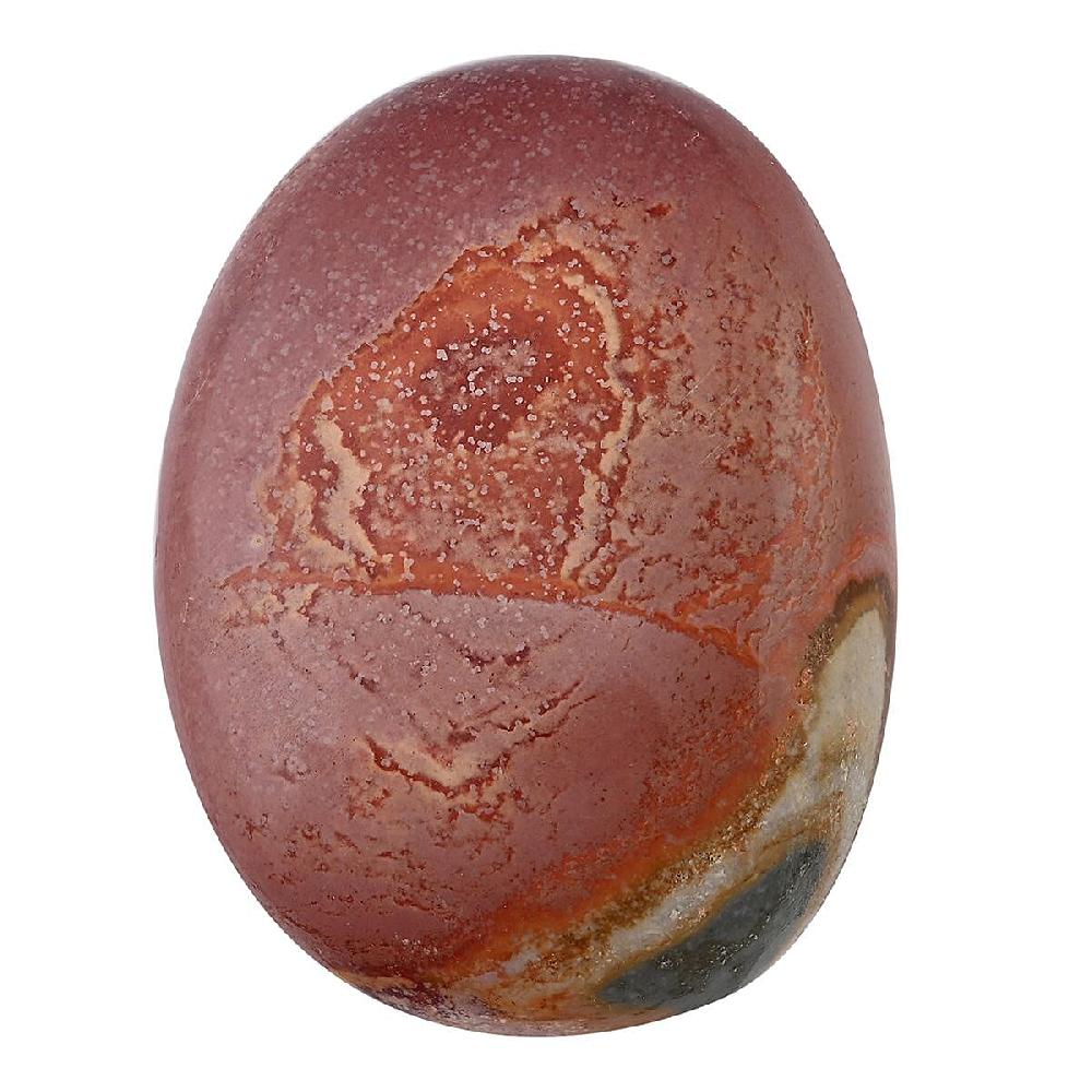 shop lc Jasper Palm Stone -M 453ctw