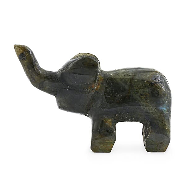 Shop Lc Labradorite Elephant Shape -Small 677ctw