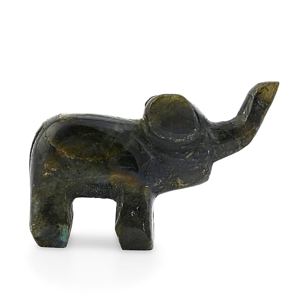 Shop Lc Labradorite Elephant Shape -Small 677ctw