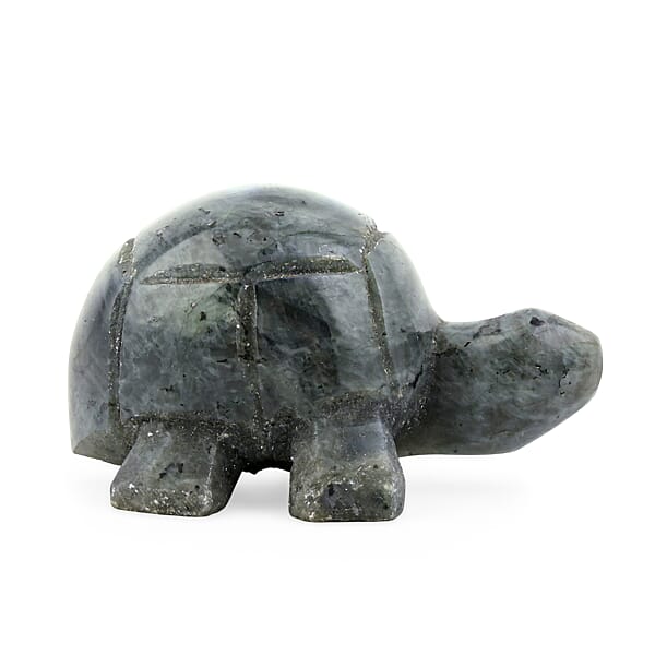 Shop Lc Labradorite Tortoise Shape -Small 477ctw