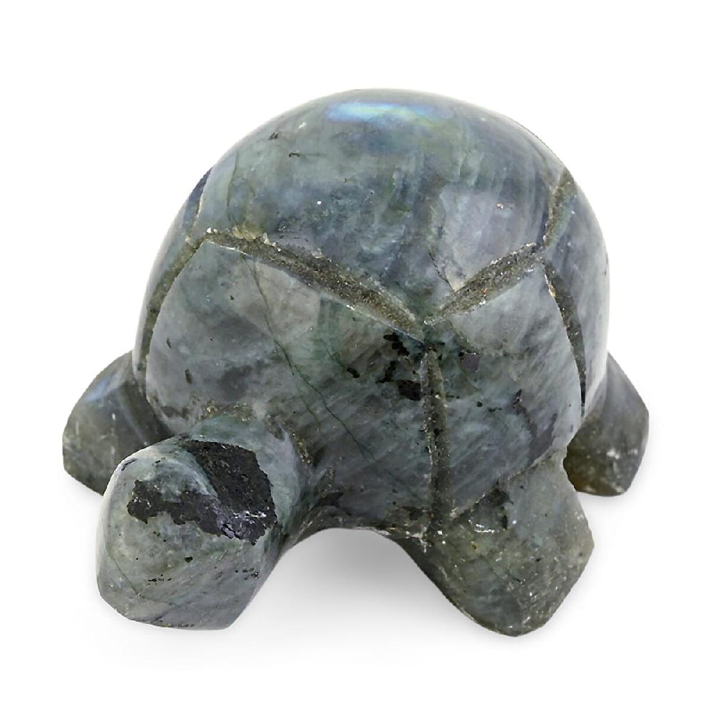 shop lc Labradorite Tortoise Shape -Small 477ctw