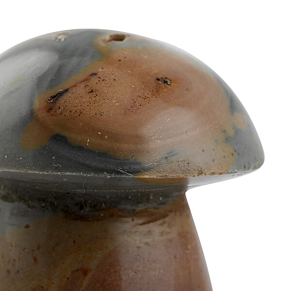 Shop Lc Multi Jasper Mushroom -S Approx 351ctw