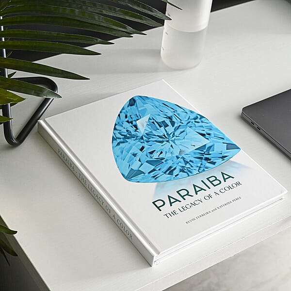 Shop Lc Paraiba Coffee Table Booklet