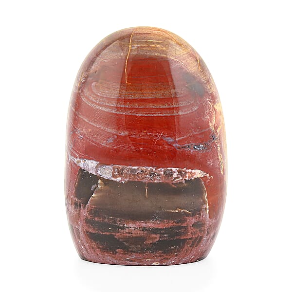 Shop Lc Petrified Wood Freeform -Medium 1747ctw