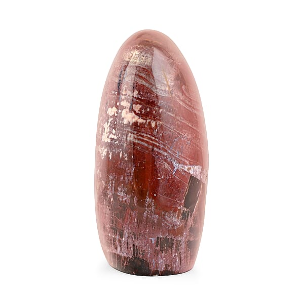 Shop Lc Petrified Wood Freeform -Medium 1747ctw