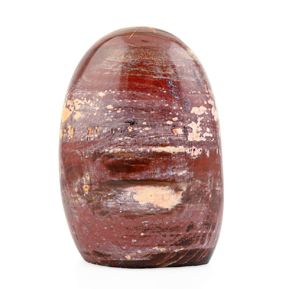 shop lc Petrified Wood Freeform -Medium 1747ctw