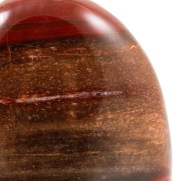 Shop Lc Petrified Wood Freeform -Small 1345ctw