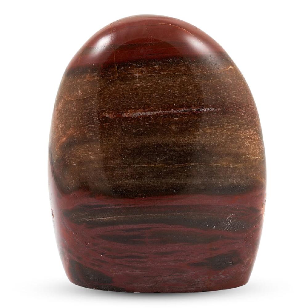 shop lc Petrified Wood Freeform -Small 1345ctw