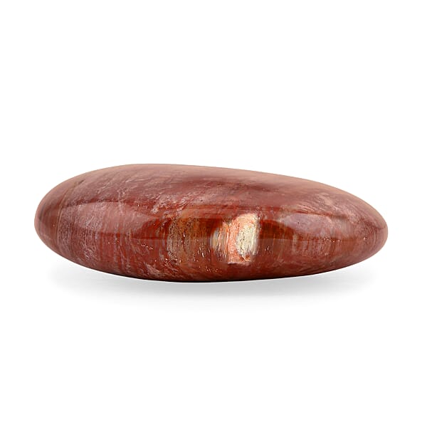 Shop Lc Petrified Wood Gallet -Medium 730ctw