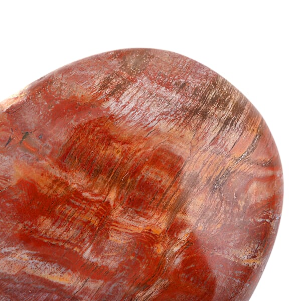 Shop Lc Petrified Wood Gallet -Medium 730ctw