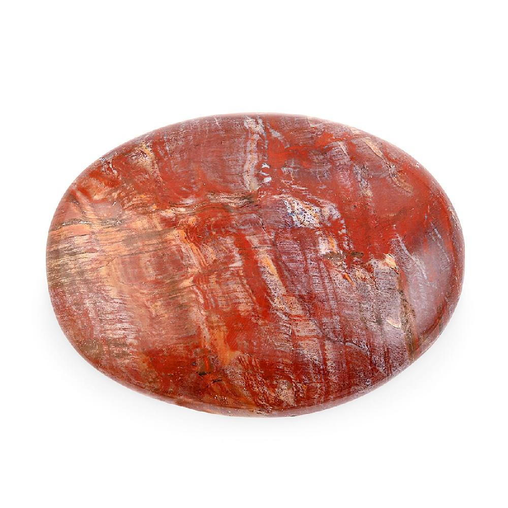 shop lc Petrified Wood Gallet -Medium 730ctw
