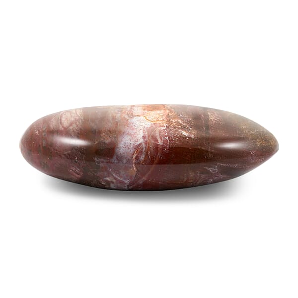 Shop Lc Petrified Wood Gallet -Small 532ctw