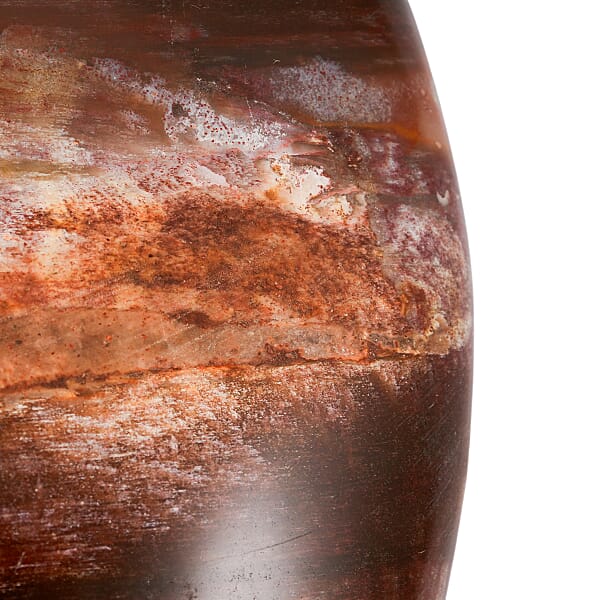 Shop Lc Petrified Wood Gallet -Small 532ctw