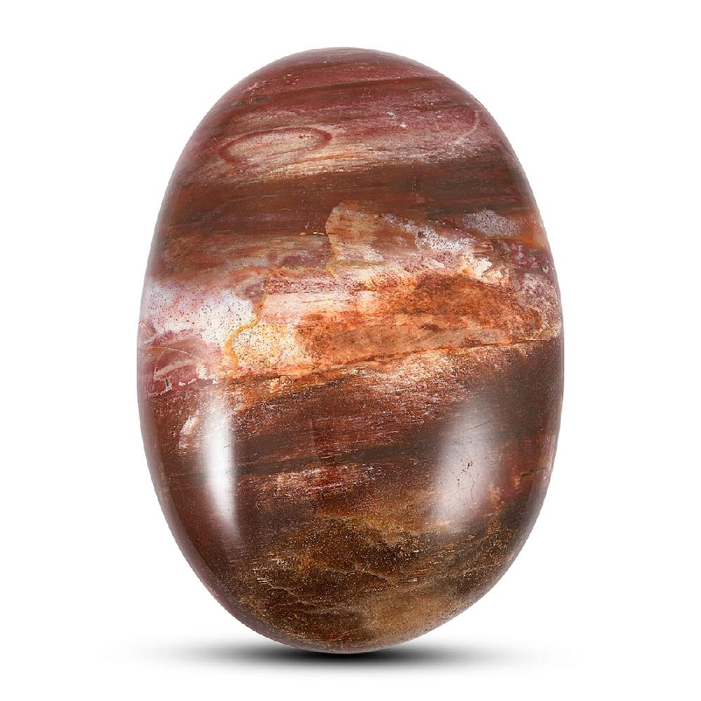 shop lc Petrified Wood Gallet -Small 532ctw