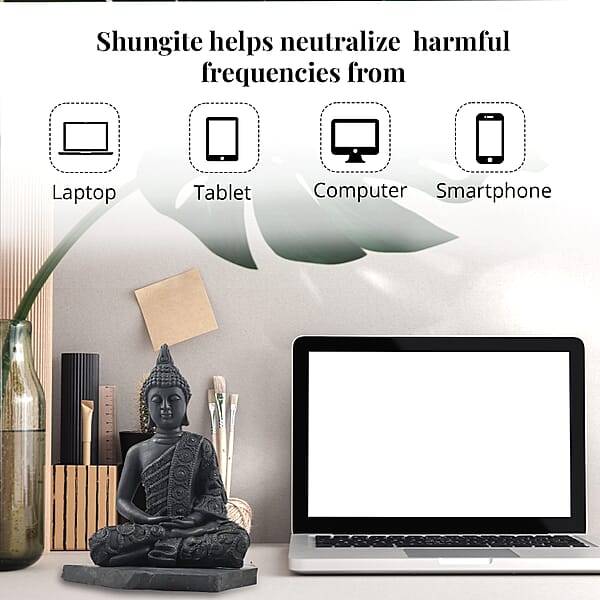 Shop Lc Shungite Buddha Figurine -L 8 Approx. 6980 Ctw