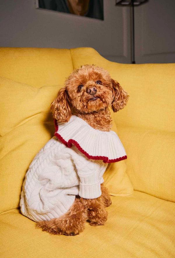 Shrimps Shrimps X Reformation Chip Regenerative Wool Dog Jumper - Arctic
