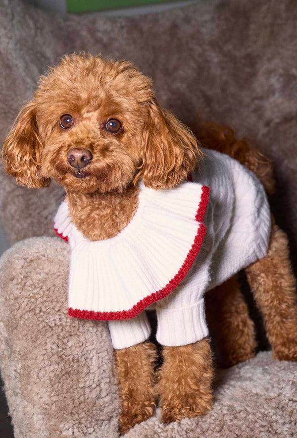 Shrimps Shrimps X Reformation Chip Regenerative Wool Dog Jumper - Arctic