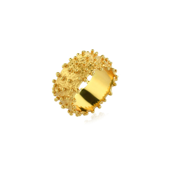 Shyla Ilina Ring Silver