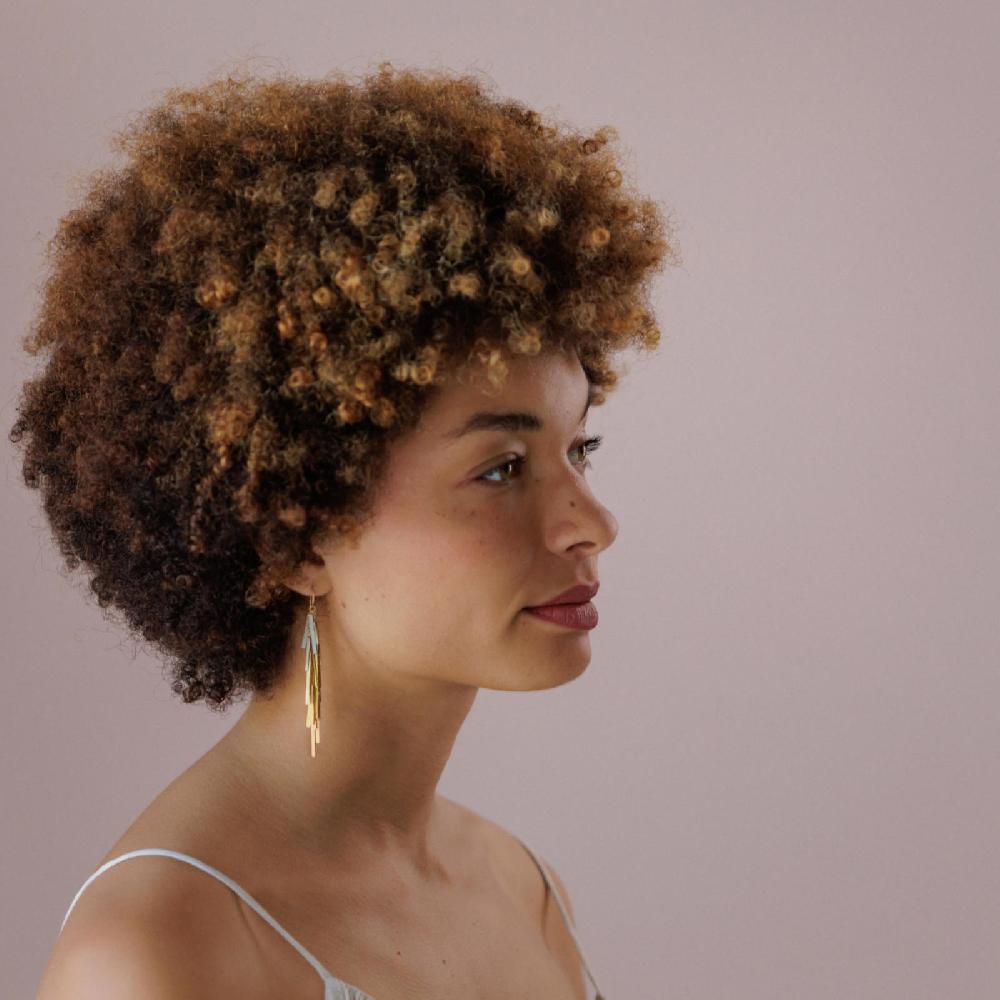 Sia Taylor Dusk Earrings