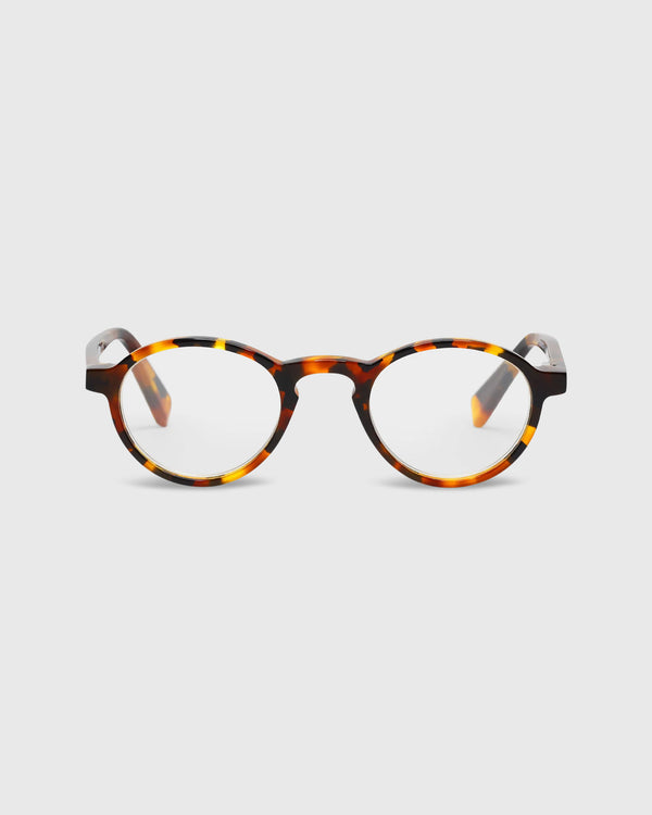 sid mashburn Board Stiff Reading Glasses in Tortoise