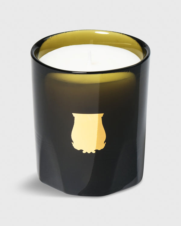 sid mashburn Petite Scented Candle in Abd El Kader