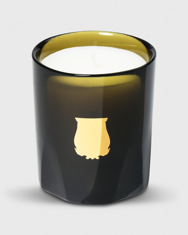 sid mashburn Petite Scented Candle in Josephine